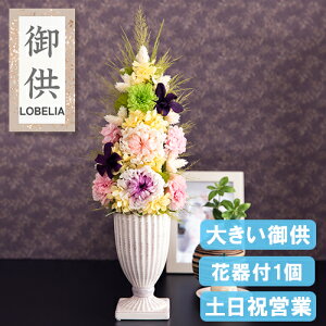  vU[uht[ AWg    @  蕨  uU[uht[ l\ @v  O   ̐l ~ ~ ފ  u