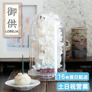  vU[uht[  Ԋt 䋟AW h[^ P[X dp    @   ̐l l\ @v   O  Mtg 