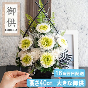   傫 vU[uht[  Ԋt 䋟AW vU[uh  dp @   蕨 ~ ~ ފ  l\ @v   