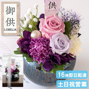  vU[uht[ Ԋt AW dp  vU[uh d   蕨 ~ ~ ފ    Mtg l\@v   O 