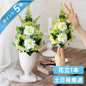 y|Cg5{N[|z 傫 vU[uht[  dp AWg      蕨 ~ ފ   @   l\ 49