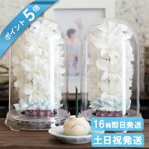 |Cg5{   vU[uht[ h[ P[X 䋟AW dp  ~ ފ    蕨  @   49 l\ @v  