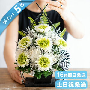 |Cg5{   傫 vU[uht[  Ԋt 䋟AW vU[uh  dp @   蕨 ~ ~ ފ  l\ @v 