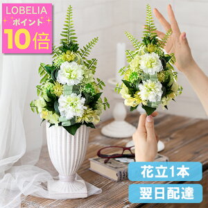 |Cg10{ 傫 vU[uht[  dp AWg      蕨 ~ ފ   @   l\ 49  O