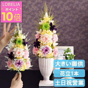 |Cg10{ ԁE   vU[uht[  dp  @  ~ ~ ފ  蕨 d    O 蕨  Mtg uU[