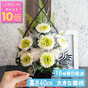 |Cg10{   傫 vU[uht[  Ԋt 䋟AW vU[uh  dp @   蕨 ~ ~ ފ  l\ @v