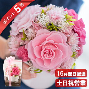 |Cg5{ 傫 710 o vU[uht[ AWg  a v[g   c  ސEj j LO vU[ht[  JXj  