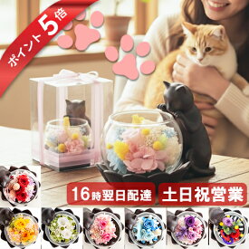 ポイント5倍 プリザーブドフラワー 花 猫 誕生日 プレゼント 猫好き ねこ 女性 母 祖母 おばあちゃん 還暦祝い 古希 喜寿 米寿 傘寿 卒寿 お祝い 60代 70代 80代 お祝い お花 退職祝い ブリザードフラワー ギフト 送料無料 ケース入り 猫が好き
