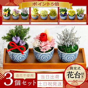 |Cg5{ vU[uht[ ͂Ȃ ~j~ ۋ ϗtA  Mtg  a v[g  j   c c җj Ύ Ê   P Ď j 60 70 80