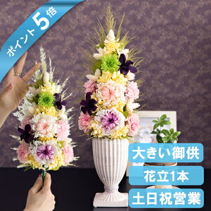 |Cg5{ ԁE   vU[uht[  dp  @  ~ ~ ފ  蕨 d    O 蕨  Mtg uU[