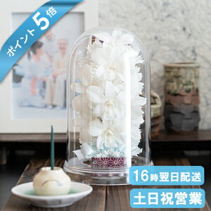 |Cg5{  vU[uht[  Ԋt 䋟AW h[^ P[X dp    @   ̐l l\ @v   O  