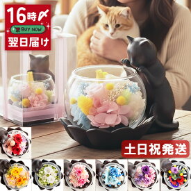 プリザーブドフラワー 花 猫 誕生日 プレゼント 猫好き ねこ 女性 母 祖母 おばあちゃん 還暦祝い 古希 喜寿 米寿 傘寿 卒寿 お祝い 60代 70代 80代 お祝い お花 退職祝い ブリザードフラワー ギフト 送料無料 ケース入り 猫が好き