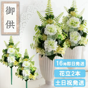 ފ vU[uht[  16 cƓ vU[h  dp ~ ~ ފ   {    ̉ 蕨 䋟 a  @   M