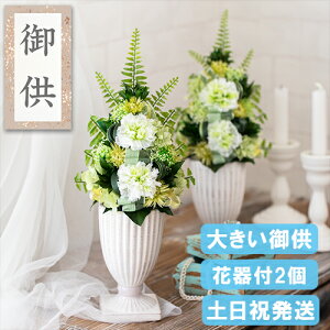 ފ 傫   vU[uht[  dp AWg Ԋt 䋟  d  蕨 ~ ~ ފ   @ l\ @v   O