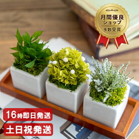 【あす楽16時】 洋風 プリザーブドフラワー おしゃれ 送料無料 GardenPot 苔 観葉植物 インテリア 新築祝い 友人 引っ越し祝い 退職祝い 男性 先生 40代 50代 送別会 卒業祝い 誕生日プレゼント 女性 母 祖母 女友達 緑寿 お祝い 結婚祝い ブリザードフラワー ギフト