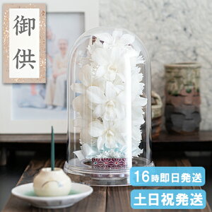 hV̓N[|  vU[uht[  Ԋt 䋟AW h[^ P[X dp    @   ̐l l\ @v   O 