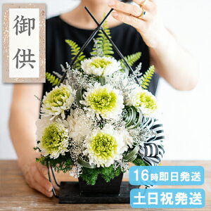 ފ   傫 vU[uht[  Ԋt 䋟AW vU[uh  dp @   蕨 ~ ~ ފ  l\ @v  