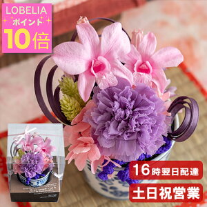 _|Cg10{^ vU[uht[ a ͂Ȃ  a v[g    c ΂ uU[ht[ Mtg җj Ê    j ސEj 60