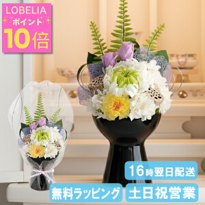 _|Cg10{^ vU[uht[  uU[ht-  dp  d  uU[h ݂̉  ~ ~ ފ r rt @   O 