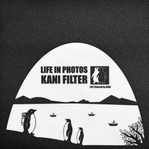 KANI LIFE IN PHOTOS �X�e�b�J�[ �X�N�G�A 10×10cm
