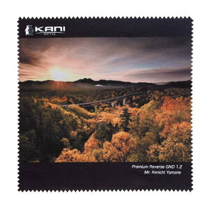 KANItB^[ YNX P (R搶f)