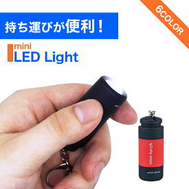 ミニLEDライト 懐中電灯 ポケットライト キーホルダー USB 軽量 ライト 持ち運び カラビナ アウトドア キャンプ 防災対策