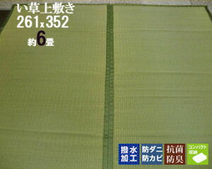 J[ybg O 261×352  6 ~  }bg     ~   1@@  C   SU O a J[ybg ΍ MǑ΍ GAR  