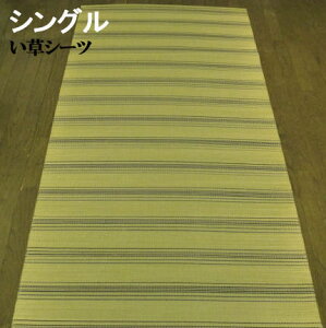  V[c Q 80×180 cm VO  }bg ėp     ~   1 pV[gƋ   SU O a J[ybg ΍ MǑ΍ GAR  Ђ~
