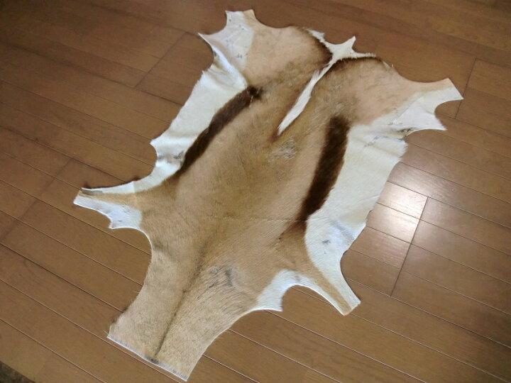 楽天市場】スプリングボック 敷物 約 118×84 cm 剥製 革 アニマル ラグ 