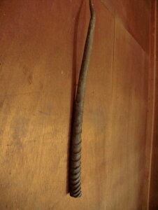 壁掛 ◆角装具■約70cmオリックス ホーン 1本(穴キズ有り)■教材 生物 解剖学 美術 インテリア 骨格 模型 解剖 標本■*剥製