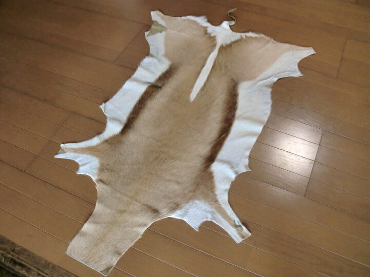 楽天市場】スプリングボック 敷物 約 135×81 cm 剥製 革 アニマル ラグ 
