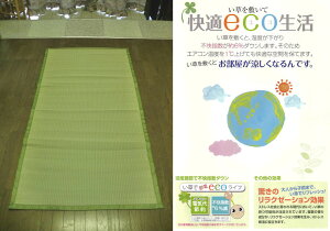  V[c Q 87×170 cm VO 1 }bg ėp     ~   1 pV[gƋ   SU O a J[ybg ΍ MǑ΍ GAR  Ђ~