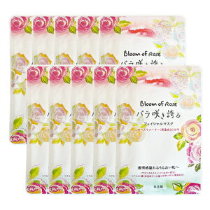 (ŋz lR|X)(zeAjeB)(^Cv)n[oGNXg o炫ւ b`tFCV}XN GKg[Y̍ (V[g}XN)20mL (HERBAL EXTRA RICH 