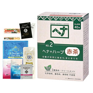 (ŋzΉ)(ɑIׂ邨܂GET)(390~)(їEJ[g[gg)iCA[h wi(NAIAD HENNA) 100g(ܕt) wi+n[u