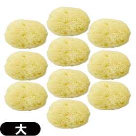 ◆(最強翌日配送 ネコポス送料無料)(天然スポンジ)ユタカ 天然海綿スポンジ(フェイススポンジ) 大(約5~7cm)x10個セット/(NATURAL SEASPONGE ナチュラル・シースポンジ) ※完全包装でお届け致します。【smtb-s】