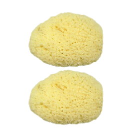 ◆(メール便(日本郵便) ポスト投函 送料無料)(天然スポンジ)ユタカ 天然海綿スポンジ(フェイススポンジ)/(NATURAL SEASPONGE ナチュラル・シースポンジ)(約2~3cm)× 2個セット