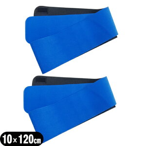 (ŋz lR|X)(LkQ)(K㗝X)AVXg(ASSIST) ЍL}WbNxg u[10×120cm (100×1200mm) x2Zbg