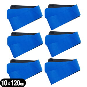 (ŋz lR|X)(LkQ)(K㗝X)AVXg(ASSIST) ЍL}WbNxg u[10×120cm (100×1200mm) x6Zbg