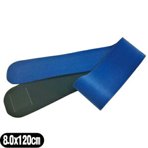 (K㗝X)(Œ)(T|[^[Eoe[W)T|[ ЍL}WbNxgR Cu[ (8×120cm)(SM-258C)