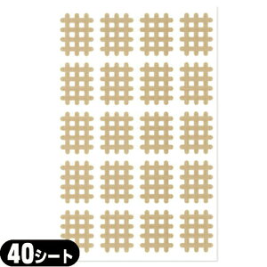 (XpC̓c)GNZ XpCe[v@A^Cvi20s[XjƖpF40V[g(800s[X)