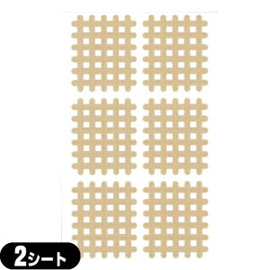 (ŋz lR|X)(XpC̓c)GNZ XpCe[v@C^Cvi6s[XjƖpF2V[g(12s[X)