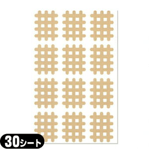 (XpC̓c)GNZ XpCe[v@B^Cvi12s[XjƖpF30V[g(360s[X)