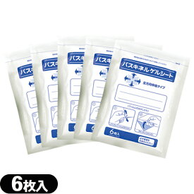 (最強翌日配送 ネコポス送料無料)(貼付型冷却材)(アイシング)冷却シート 大石膏盛堂 パスキネルゲルシート 10×14cm(6枚入り)x5袋