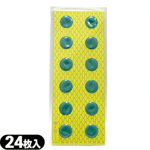 (ŋzΉ)({H)(zbgu[pւ)Lbv 24 (SO-250C)