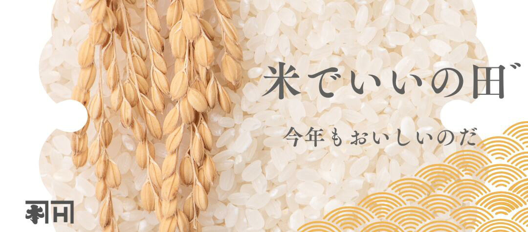 会津産　コシヒカリ　300g 900g 2kg 5kg 10kg 15kg 25kg 30kg