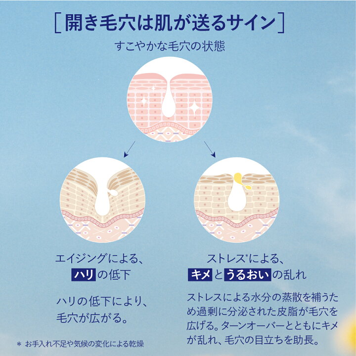 楽天市場】【公式】ロクシタン L