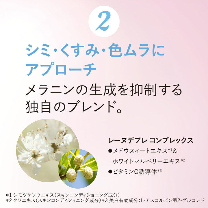 楽天市場】【公式】ロクシタン L