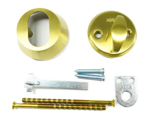 ASSA ABLOY �V�����_�[�����O�E�T���^�[���Z�b�g 8765�� �P�[�X�p �S�[���h�F