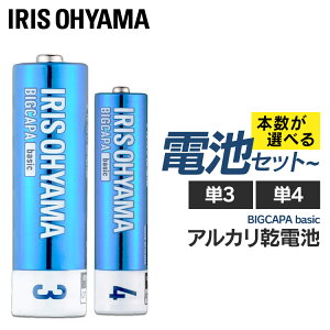 【選べるセット品】アルカリ乾電池 乾電池 電池 単3電池 単4電池 単3 単4 40本セット 電池 単3型 単4型 まとめ買い 買い回り BIGCAPA basic 送料無料 アイリスオーヤマ【メール便】【代金引換不可