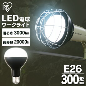 LED電球 投光器用 作業灯 3000lm LDR25D-H-E39-E LED電球 LEDライト ライト 灯り LED投光器 投光器 昼光色 E39 作業現場 工事現場 アイリスオーヤマ【目玉】